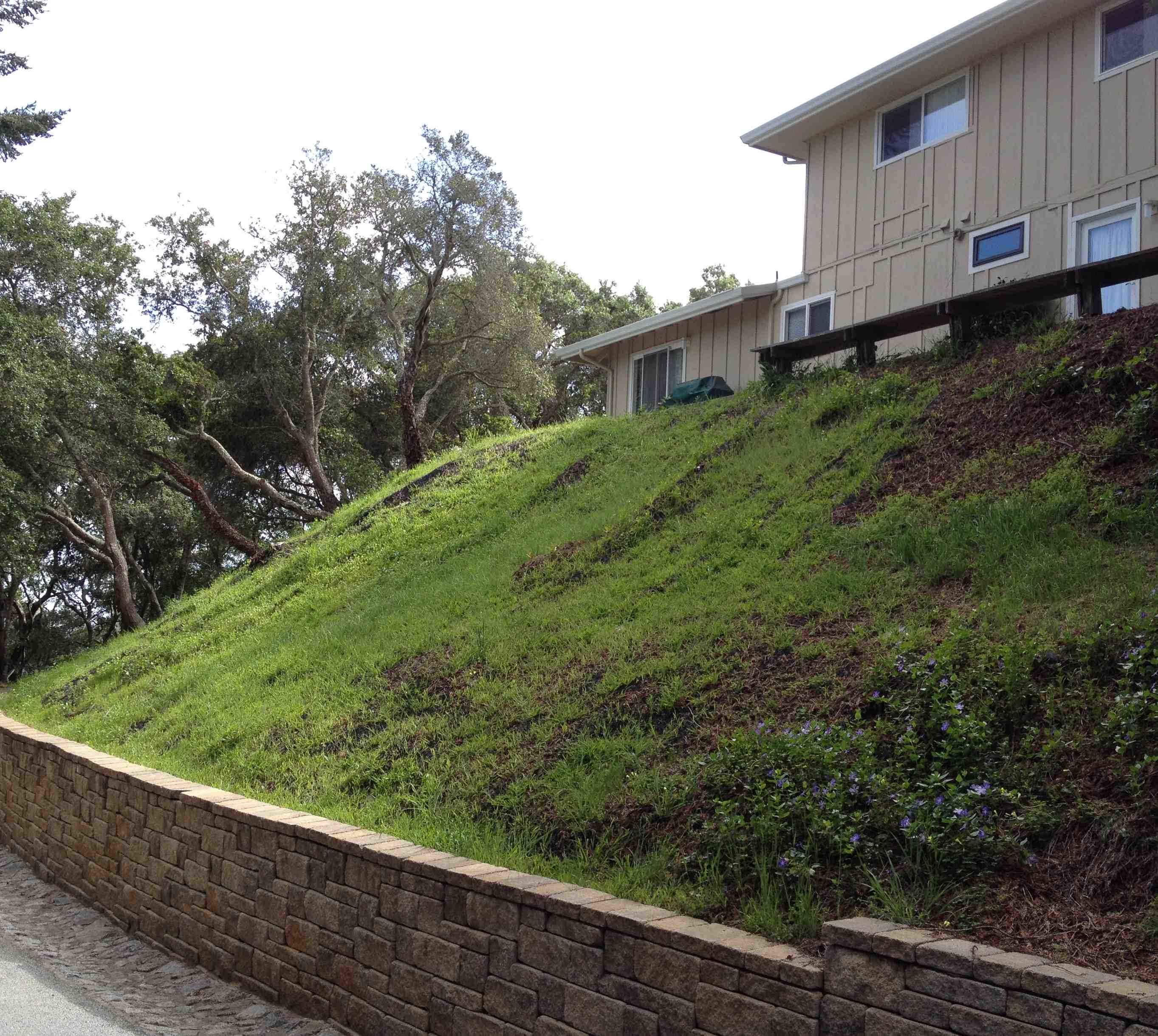 Stabilizing Steep Slopes and Hills